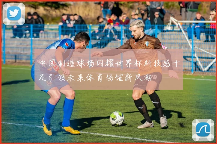 中国制造球场闪耀世界杯科技感十足引领未来体育场馆新风潮