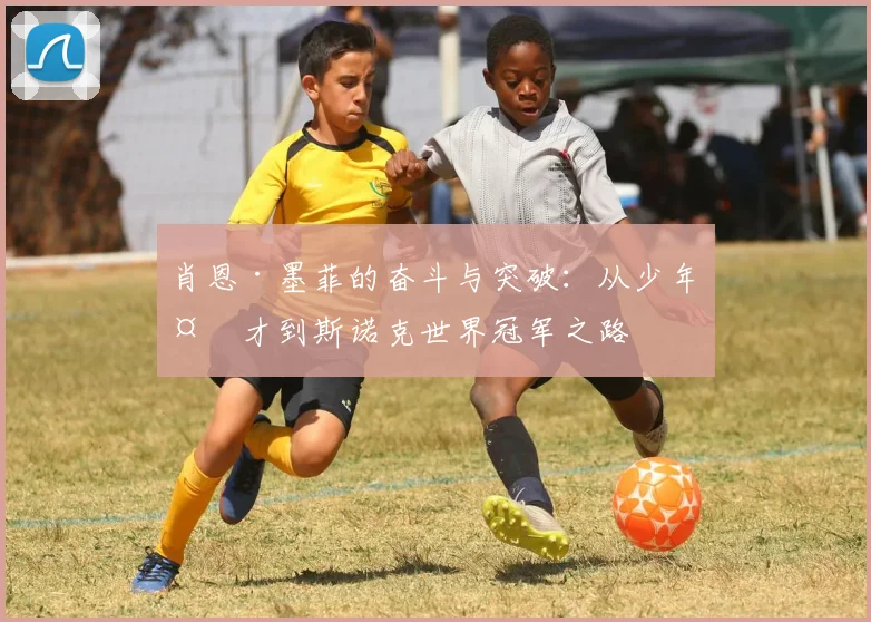肖恩·墨菲的奋斗与突破：从少年天才到斯诺克世界冠军之路