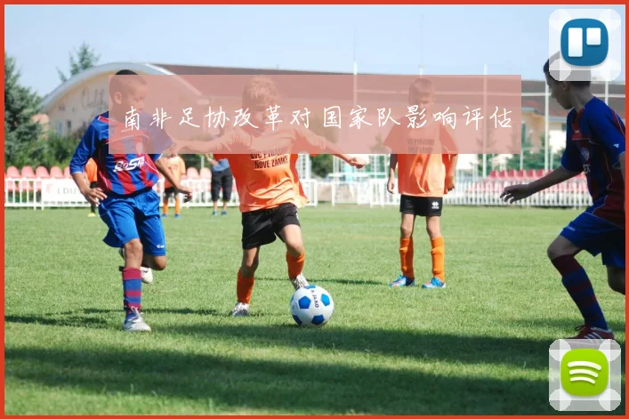 南非足协改革对国家队影响评估