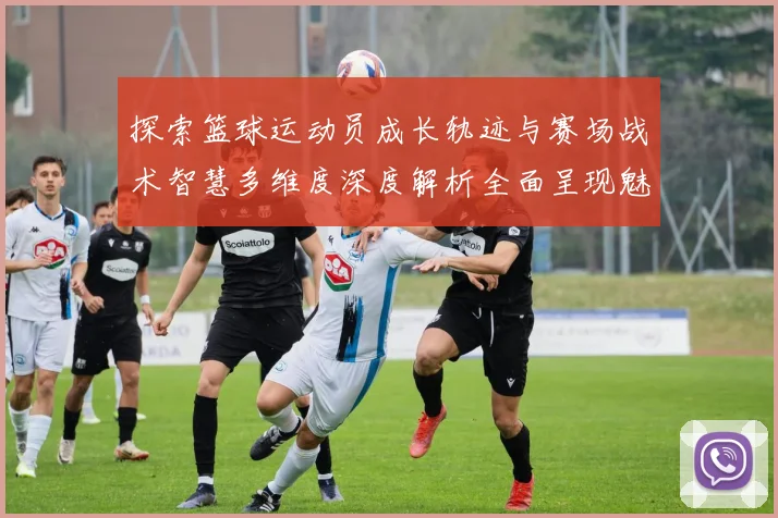 探索篮球运动员成长轨迹与赛场战术智慧多维度深度解析全面呈现魅力