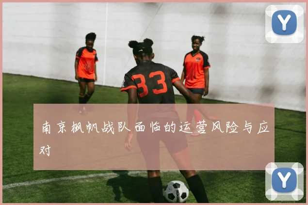 南京枫帆战队面临的运营风险与应对