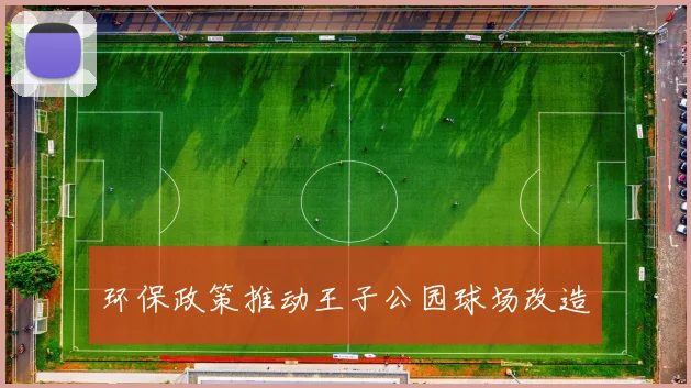 环保政策推动王子公园球场改造